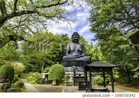 東京大佛, 承蓮寺, 大佛, 板橋區, 東京 東京大佛, 承蓮寺, 大佛, 板橋區, 東京 109550342