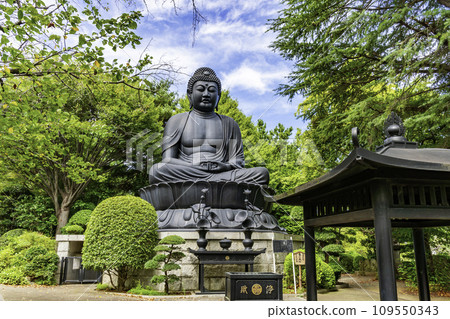 東京大佛, 承蓮寺, 大佛, 板橋區, 東京 109550343