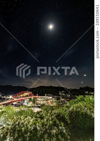 Light trails and starry views of Ondo Ohashi Bridge where azaleas bloom 109550641