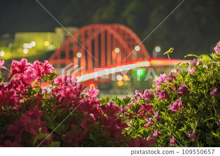 杜鵑花盛開的音堂大橋上的汽車光跡 杜鵑花盛開的音堂大橋上的汽車光跡 109550657