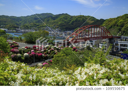 View of Ondo Ohashi Bridge with azaleas in bloom 109550675