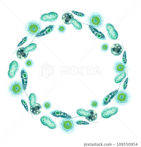 Single-celled bacteria and microorganisms. Round frame with place for text. For design and printing of packaging of bactericidal and hygiene products. Medical and educational booklets, brochures. Single-celled bacteria and microorganisms. Round frame with place for text. For design and printing of packaging of bactericidal and hygiene products. Medical and educational booklets, brochures. 109550954
