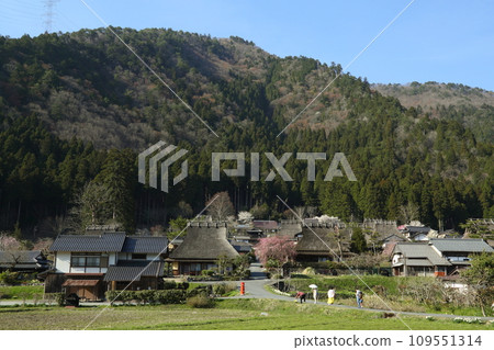 Miyama in spring The village of a thief 109551314
