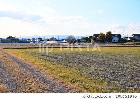 川越市伊佐沼湖初冬的田園風光 川越市伊佐沼湖初冬的田園風光 109551980