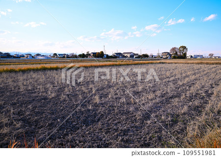 Rural scenery in early winter, Lake Isanuma, Kawagoe City 109551981