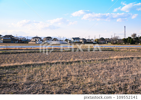 川越市伊佐沼湖初冬的田園風光 川越市伊佐沼湖初冬的田園風光 109552141