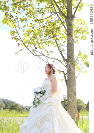 單獨穿著婚紗舉行婚禮,拍攝婚紗照 單獨穿著婚紗舉行婚禮,拍攝婚紗照 109552420