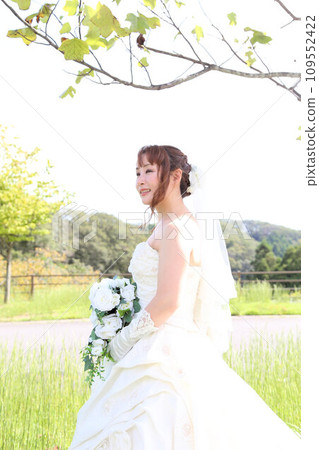Solo wedding in a wedding dress, wedding photo Solo wedding in a wedding dress, wedding photo 109552422