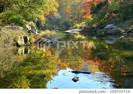 埼玉縣嵐山町,武藏嵐山溪谷水中倒映的秋葉 埼玉縣嵐山町,武藏嵐山溪谷水中倒映的秋葉 109554719
