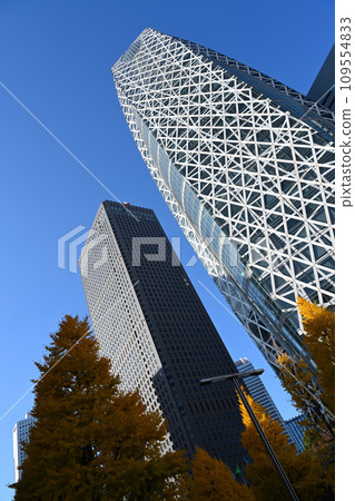 新宿西口的銀杏和高樓大廈 新宿西口的銀杏和高樓大廈 109554833