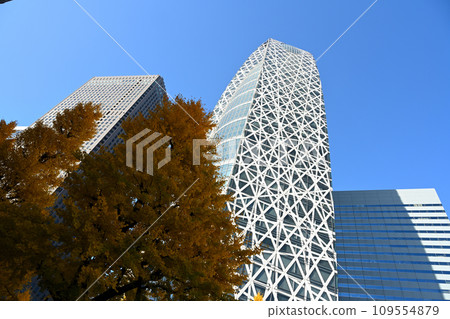 Ginkgo and high-rise buildings at Shinjuku West Exit 109554879