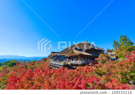 [Kyoto Prefecture] Kiyomizu-dera Temple is crowded with tourists during the autumn leaves season in November 109555218