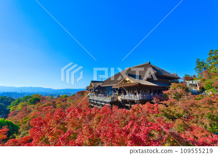[京都府] 11月的紅葉季節，清水寺擠滿了遊客 109555219