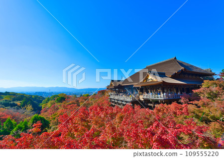 [京都府] 11月的紅葉季節，清水寺擠滿了遊客 109555220