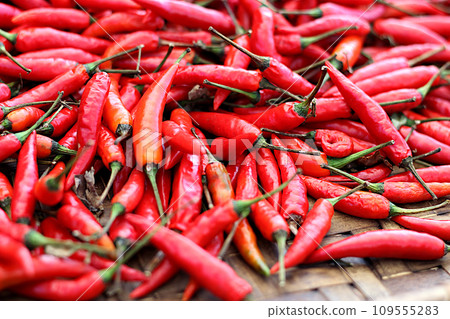 Red chili peppers are drying on basket Red chili peppers are drying on basket 109555283
