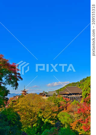 [京都府] 11月的紅葉季節，清水寺擠滿了遊客 109555318