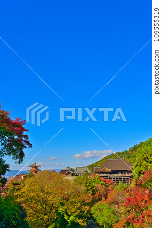 [京都府] 11月的紅葉季節，清水寺擠滿了遊客 109555319
