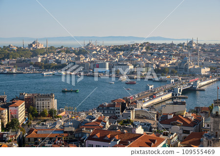 Aerial cityscape view of Istanbul, Turkey from Galata Tower 109555469