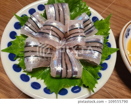 Fresh squid of Kibinago 109555790