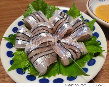 Fresh squid of Kibinago Fresh squid of Kibinago 109555792