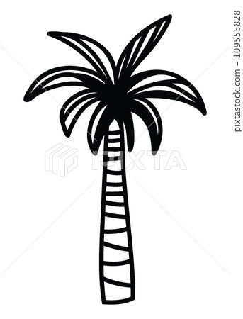 Date palm, line-art vector illustration Date palm, line-art vector illustration 109555828