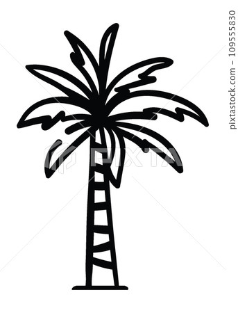 Date palm, line-art vector illustration Date palm, line-art vector illustration 109555830