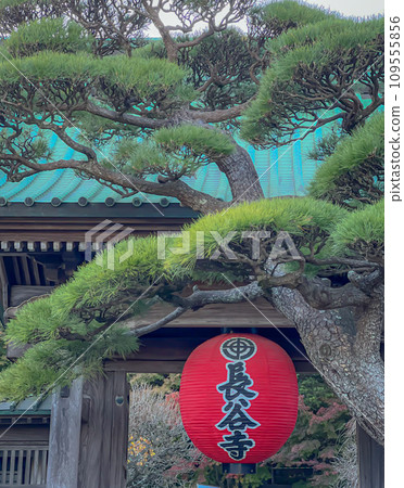 Red lanterns at the main gate of Hasedera temple in Kamakura Red lanterns at the main gate of Hasedera temple in Kamakura 109555856