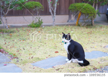 甘福寺的秋天 109556135