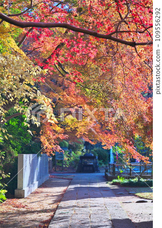 Autumn at Kanpukuji Temple 109556292