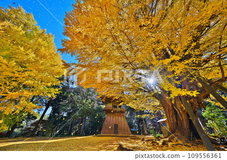 Autumn at Sairenji Temple 109556361