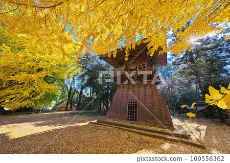Autumn at Sairenji Temple 109556362