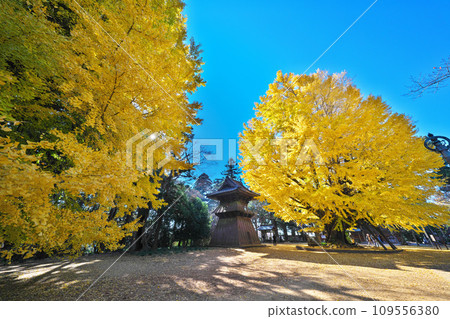 Autumn at Sairenji Temple 109556380