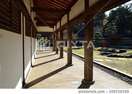 中野關 2022年11月27日 #15 109556589