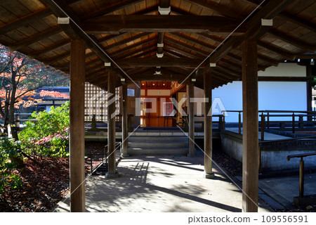 Nakono Seki 2022-11-27 #16 Nakono Seki 2022-11-27 #16 109556591