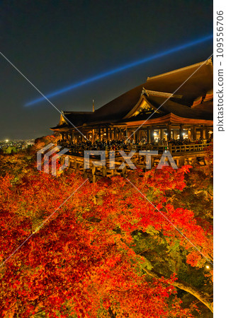 【京都府】清水寺11月特別夜景擠滿遊客 109556706