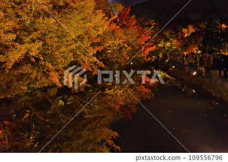 【京都府】清水寺11月特別夜景擠滿遊客 【京都府】清水寺11月特別夜景擠滿遊客 109556796