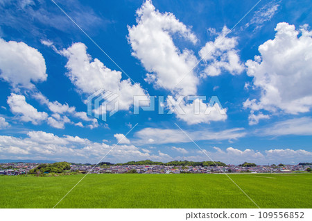 [Landscape with clouds] A blue summer sky spread over a rice field in the suburbs 109556852