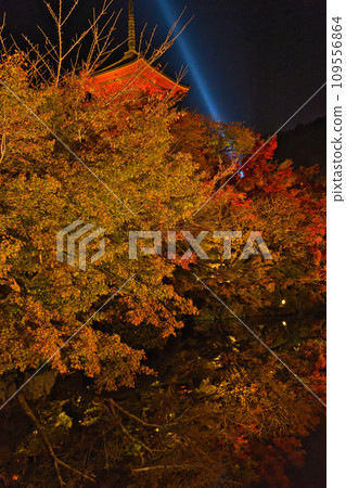 【京都府】清水寺11月特別夜景擠滿遊客 109556864