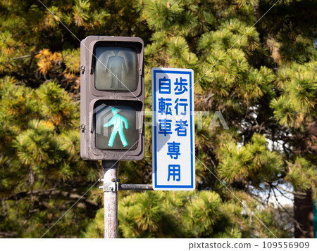 Traffic lights (only for cyclists and pedestrians). Traffic lights (only for cyclists and pedestrians). 109556909