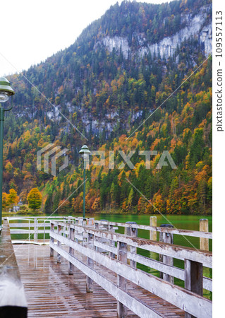 德國，國王湖，碼頭，木棧道，ドイツ、キングレイク、w頭、木製の道、木製の道、Germany, 109557113