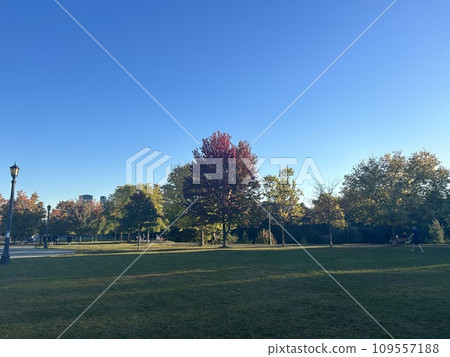 Relaxing scenery in a beautiful park Relaxing scenery in a beautiful park 109557188