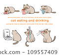 Illustration set of Siamese cats eating and drinking 109557409