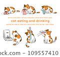 Illustration set of calico cat eating and drinking 109557410