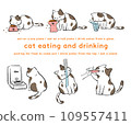 Illustration set of tabby cat eating and drinking 109557411