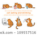 Illustration set of brown tabby cat eating and drinking 109557516
