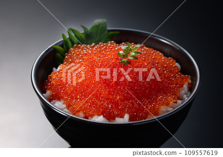 The best seafood bowl - Ikura bowl The best seafood bowl - Ikura bowl 109557619
