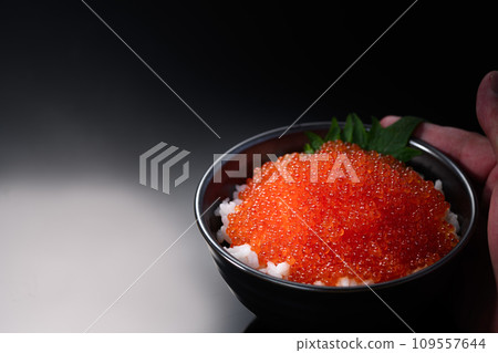 The best seafood bowl - Ikura bowl 109557644