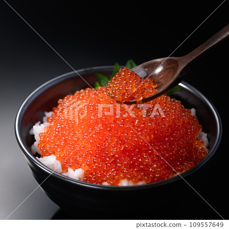 The best seafood bowl - Ikura bowl 109557649