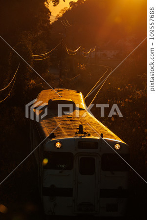 Train roof shining in the setting sun - JNR Kiha 47 series diesel train 109557688