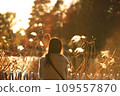 A woman looking at pampas grass 109557870